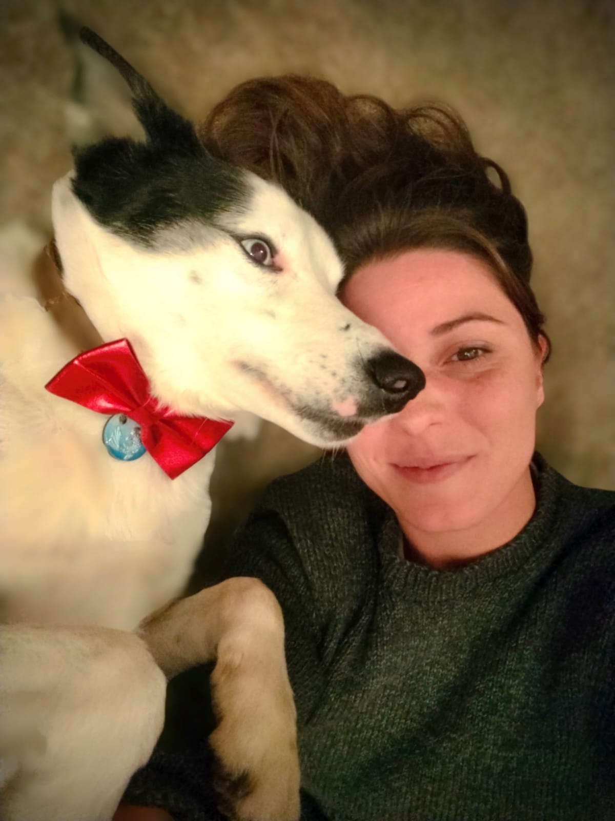 La Patte Blanche - Croquettes et accessoires pour chiens et chats en livraison à domicile sur Figeac et sa région La Patte Blanche - Croquettes et accessoires pour chiens et chats en livraison à domicile sur Figeac et sa région